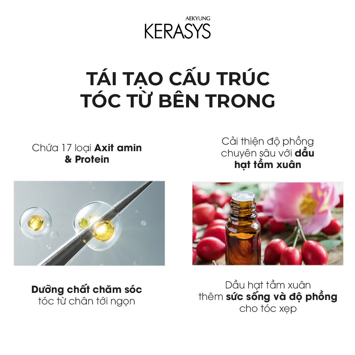 CẶP DẦU GỘI DẦU XẢ CAO CẤP HÀN QUỐC KERASYS REVITALIZING - Ảnh 6
