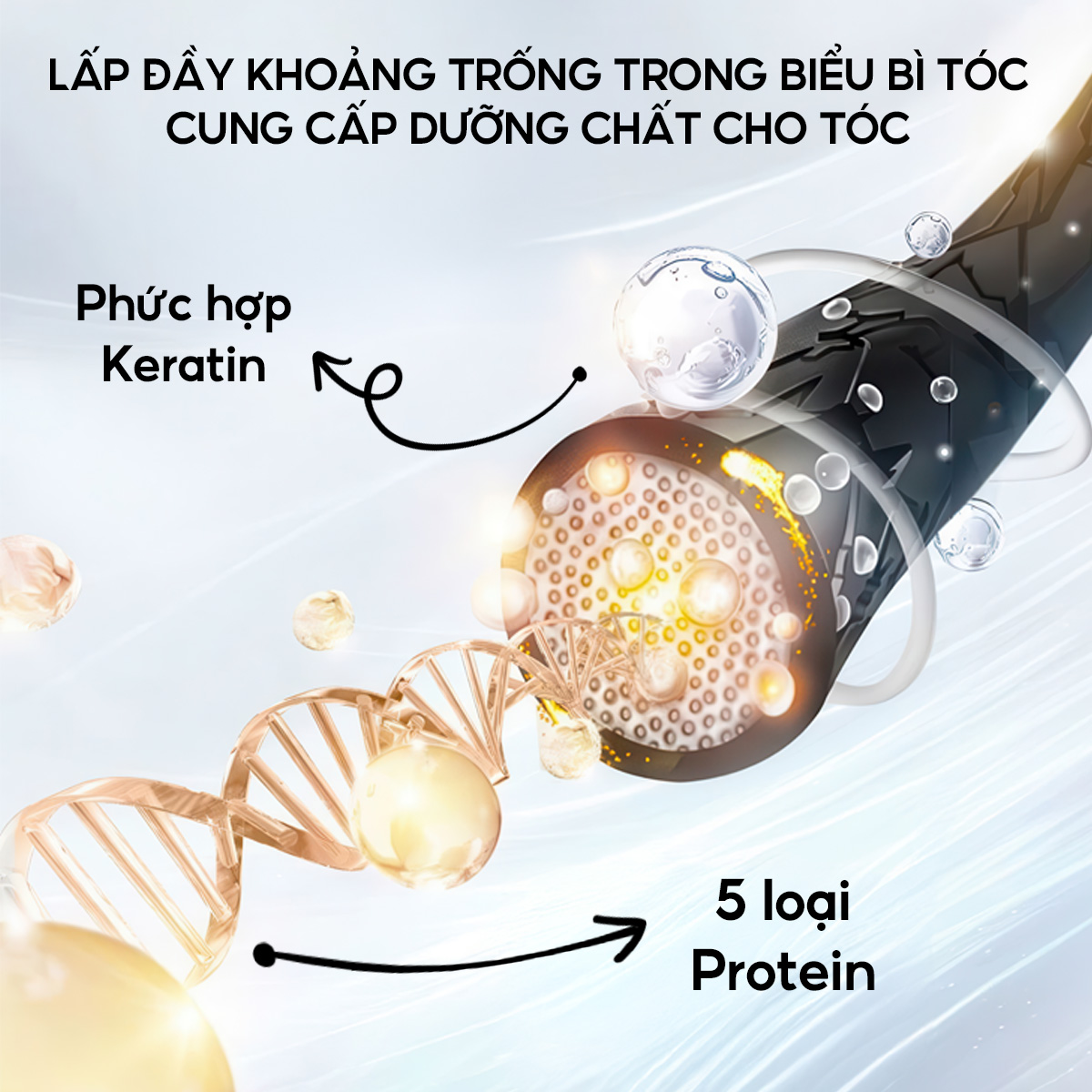 CẶP DẦU GỘI DẦU XẢ CAO CẤP HÀN QUỐC KERASYS ORIENTAL PREMIUM RED CAMELLIA EX MOISTURE REPAIR 470ml - Ảnh 4