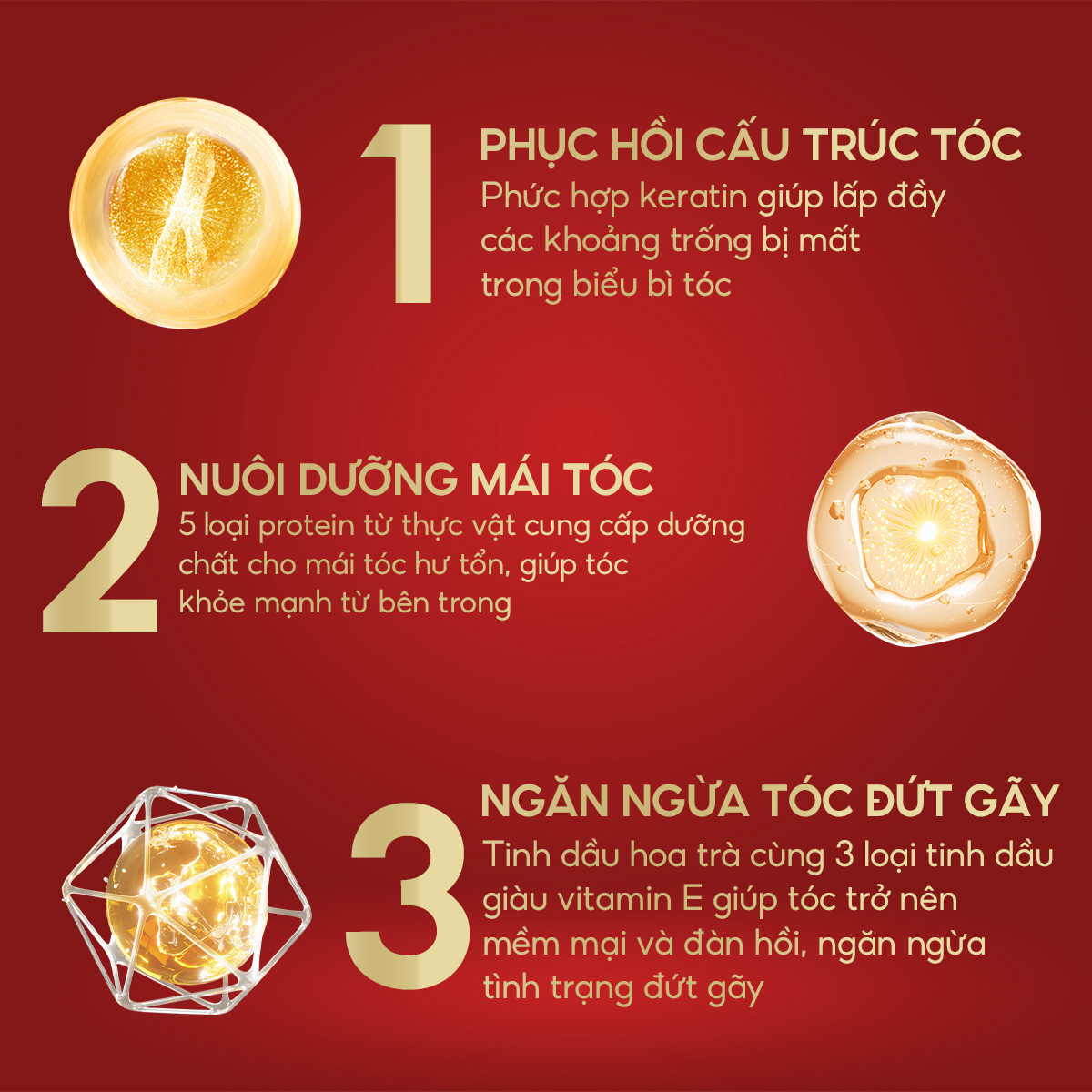 CẶP DẦU GỘI DẦU XẢ CAO CẤP HÀN QUỐC KERASYS ORIENTAL PREMIUM RED CAMELLIA EX MOISTURE REPAIR 470ml - Ảnh 5
